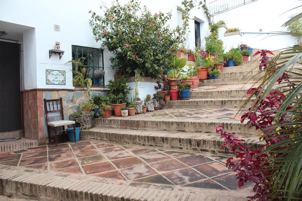 Casas Rurales Jardines Del Visir ヘナルグアシル エクステリア 写真